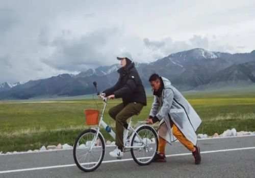 郑州侦探事务所：几种非法同居的财产共有处理规定